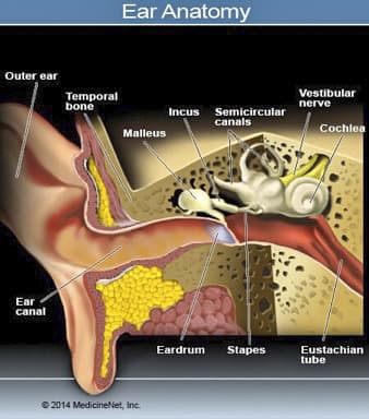 Rối loạn tiền đình