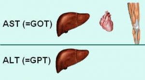 xét nghiệm huỷ tế