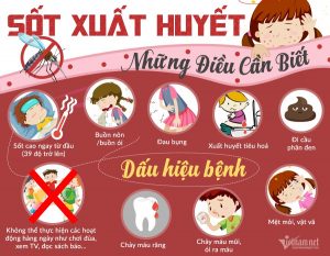 TRIỆU CHỨNG SỐT XUẤT HUYẾT Ở NGƯỜI LỚN VÀ CÁCH PHÒNG TRÁNH