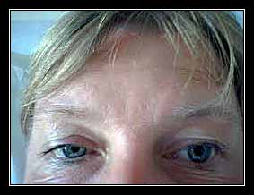 CLAUDE BERNARD – HORNER