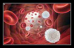 CRIOGLOBULIN – HUYẾT