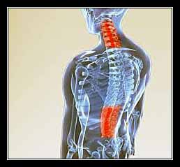 THÁP ĐƠN THUẦN (Hội chứng bó)