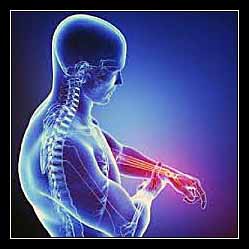 thần kinh ngoại vi