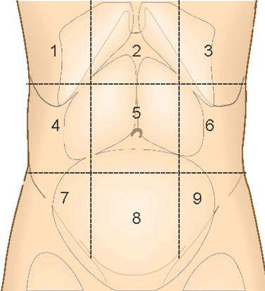 Đánh giá từng bước đau bụng cấp (phần 3)