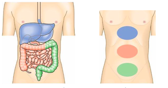 Khám bệnh đau bụng