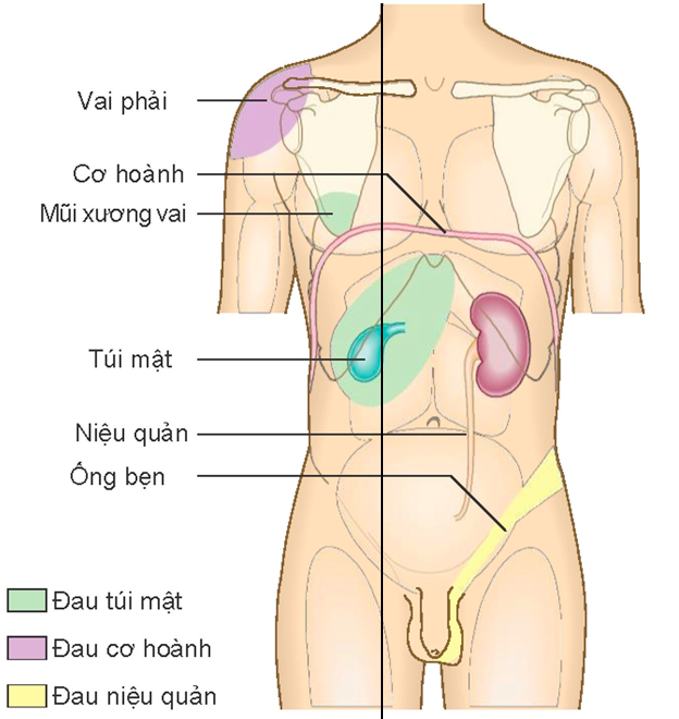 đau bụng do phản ứng