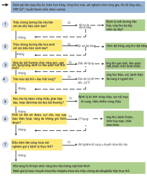 Đánh giá từng bước đau bụng cấp phần 4