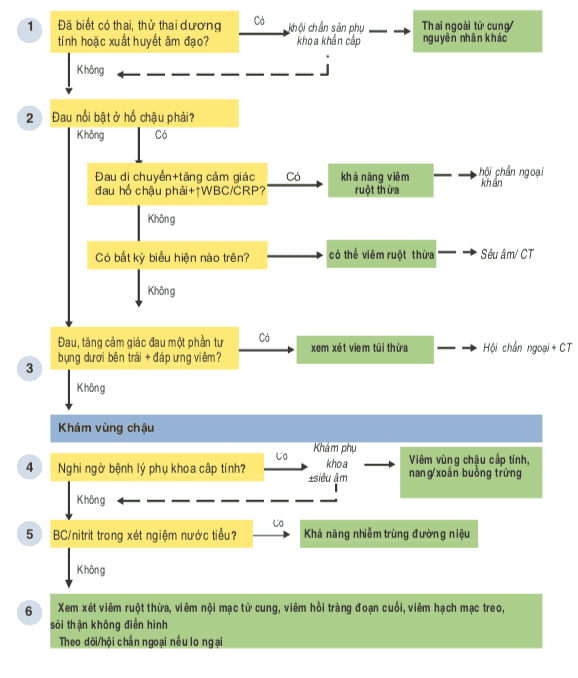 Đánh giá từng bước đau bụng cấp vùng bụng dưới