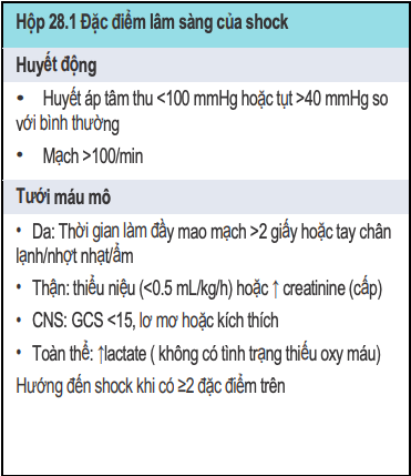 đặc điểm của shock