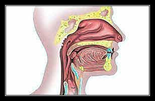 MỘT VÀI TRIỆU CHỨNG THƯỜNG GẶP VÀ UNG THƯ TAI MŨI HỌNG Ở NGƯỜI GIÀ