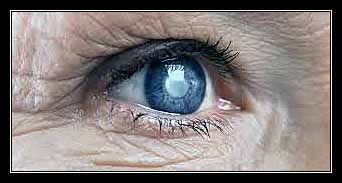 BỆNH MẮT THƯỜNG GẶP Ở NGƯỜI GIÀ