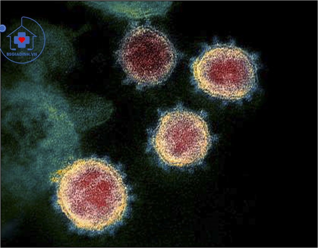 Virus corona, dịch ncovid-19