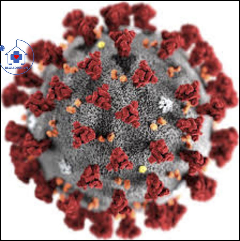Virus corona, dịch ncovid-19