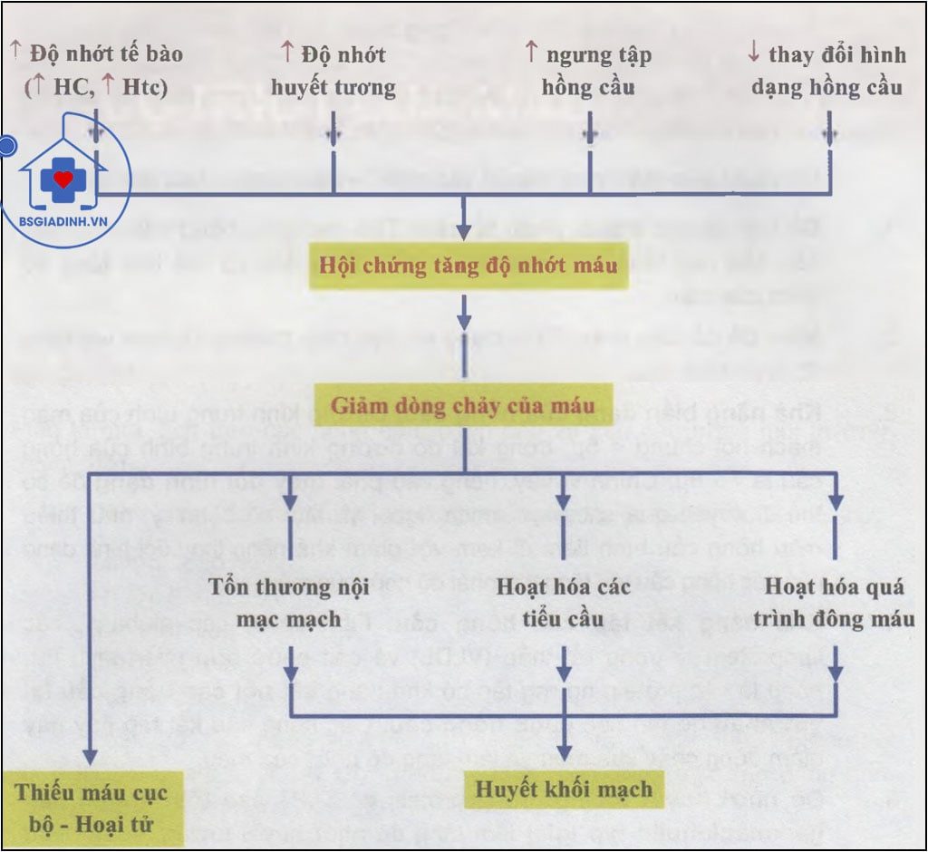 óm tắt các tác động của tình trạng tăng độ nhớt 