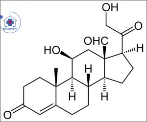 cấu trúc ALDOSTERON