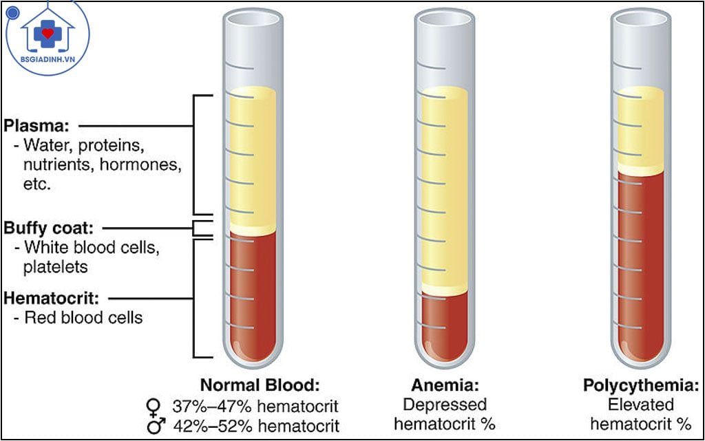 dung tích hồng cầu