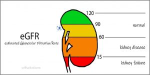 eGFR