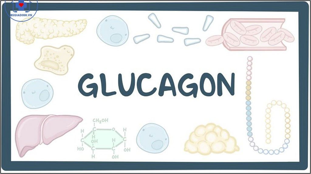 xét nghiệm Glucagon