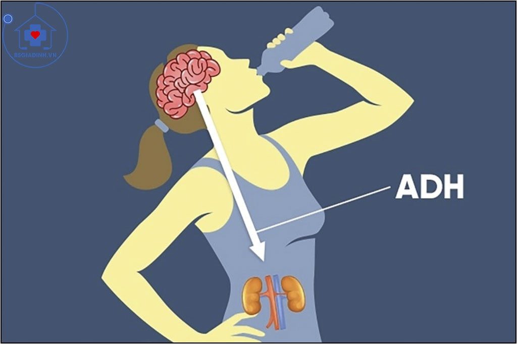 xét nghiệm ADH