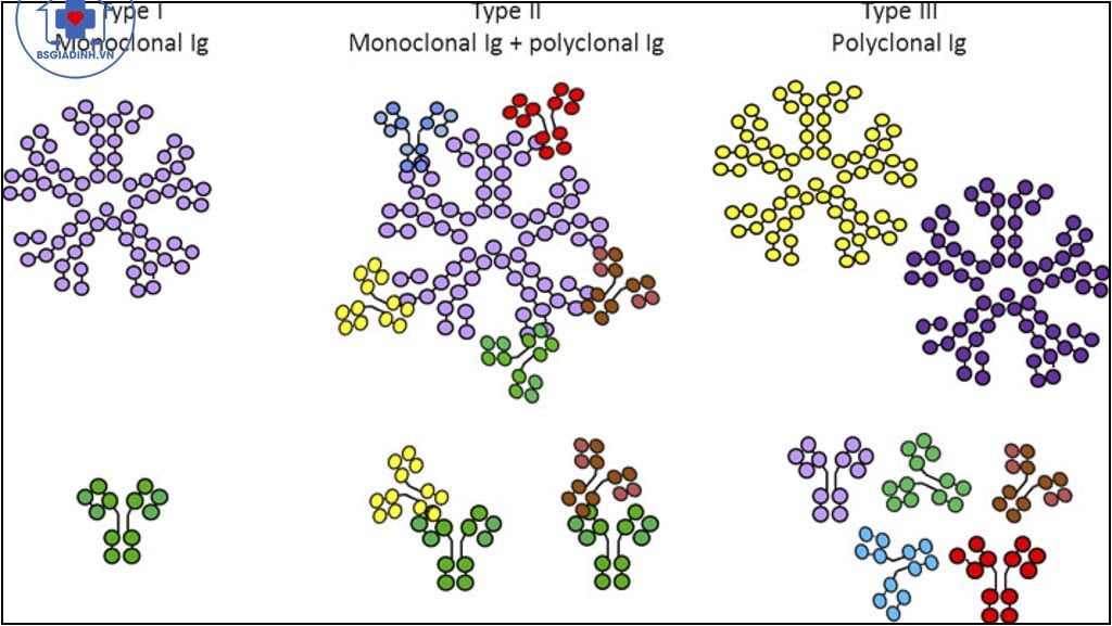 Cryoglobulin là gì? Khi nào cần làm xét nghiệm Cryoglobulin?