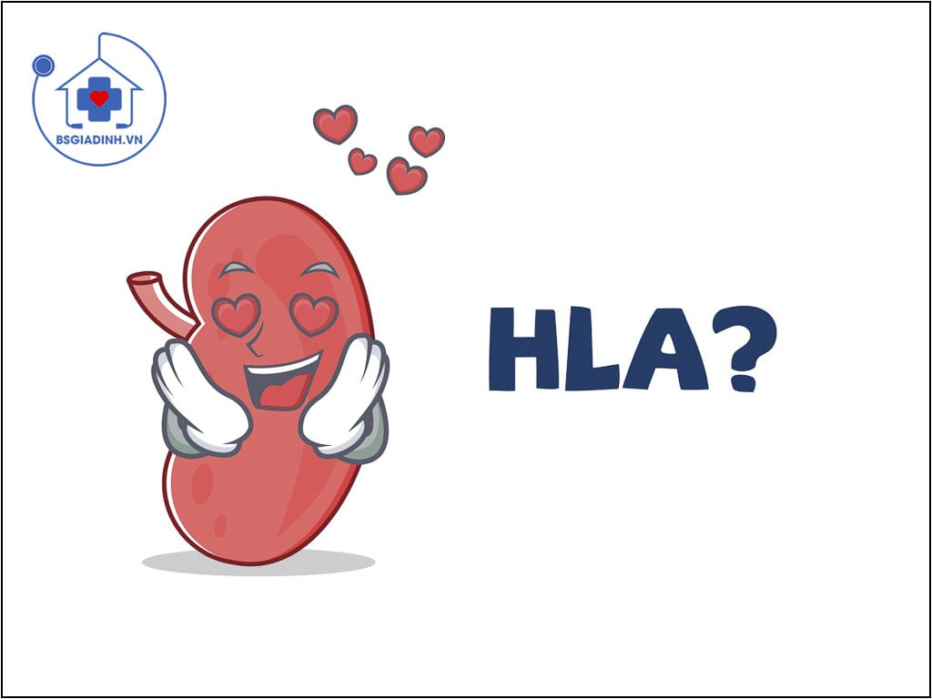 xét nghiệm HLA