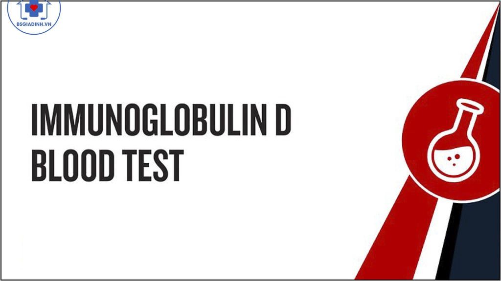 IgD Là Gì? IgD Tăng Giảm Khi Nào?