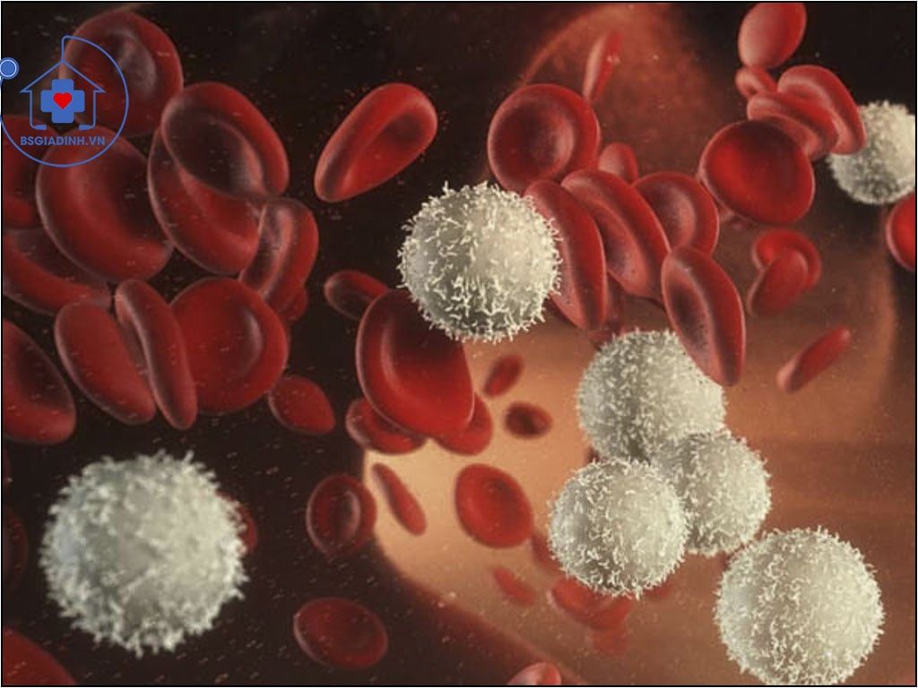 xét nghiệm bạch cầu