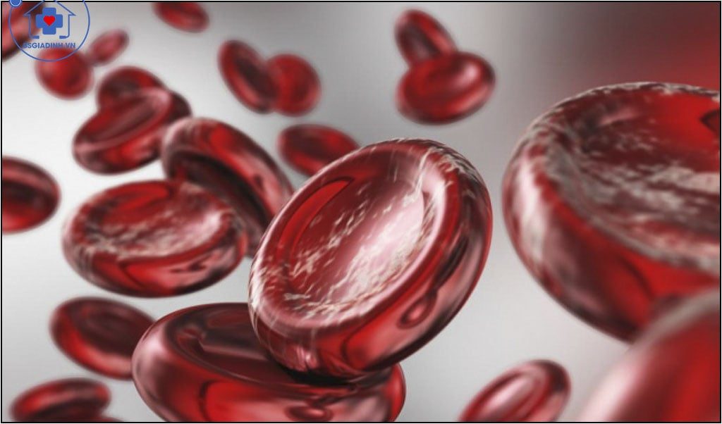  xét nghiệm Hemoglobin (Hb)  