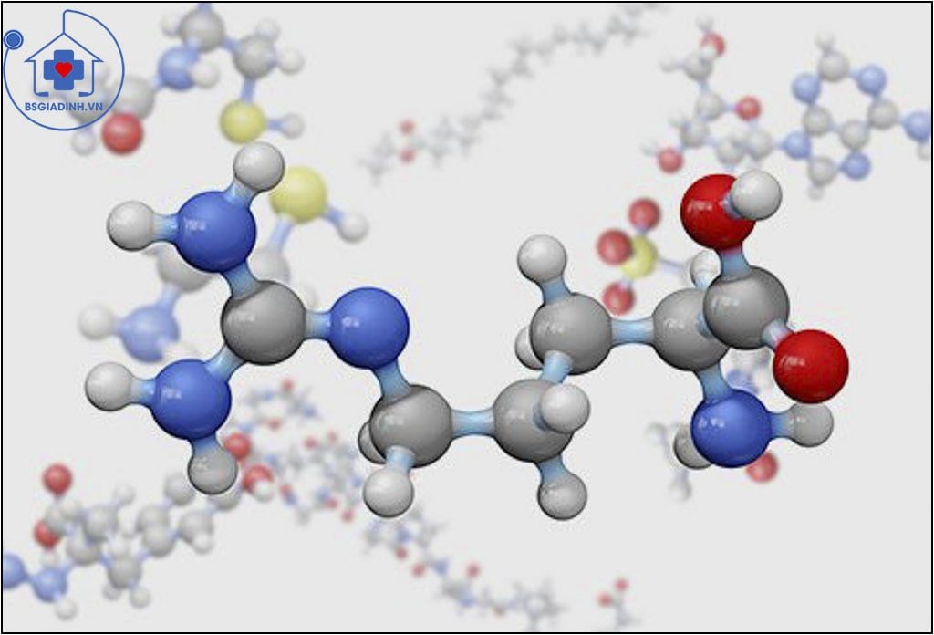 xét nghiệm Homocysteine