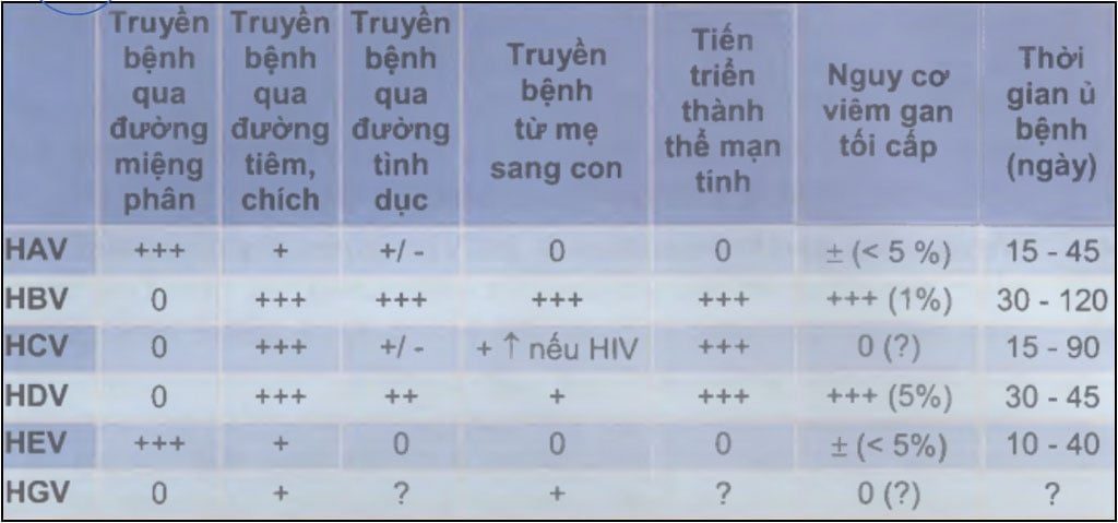 Đường truyền bệnh và đặc điểm tiến triển của các virus viêm gan chính gặp trên lâm sàng 