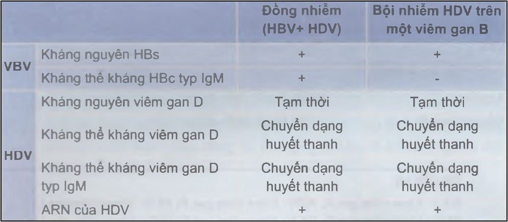  Chẩn đoán nhiễm virus viêm gan D 