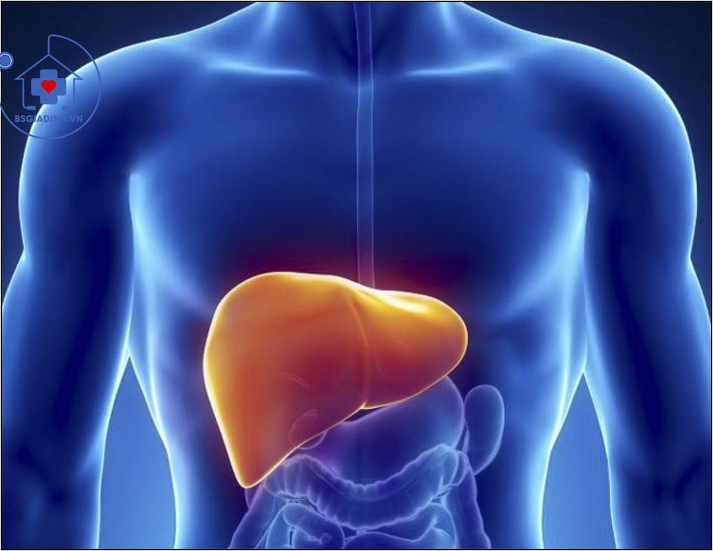 xét nghiệm viêm gan siêu vi