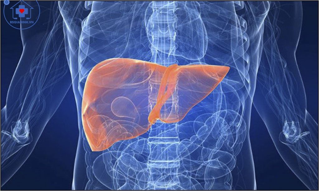 xét nghiệm viêm gan siêu vi