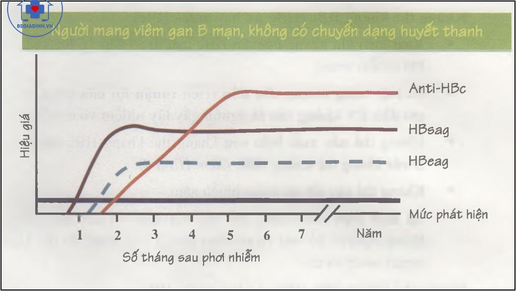 Diễn biến theo thời gian của các kháng nguyên và kháng thể viêm gan B 