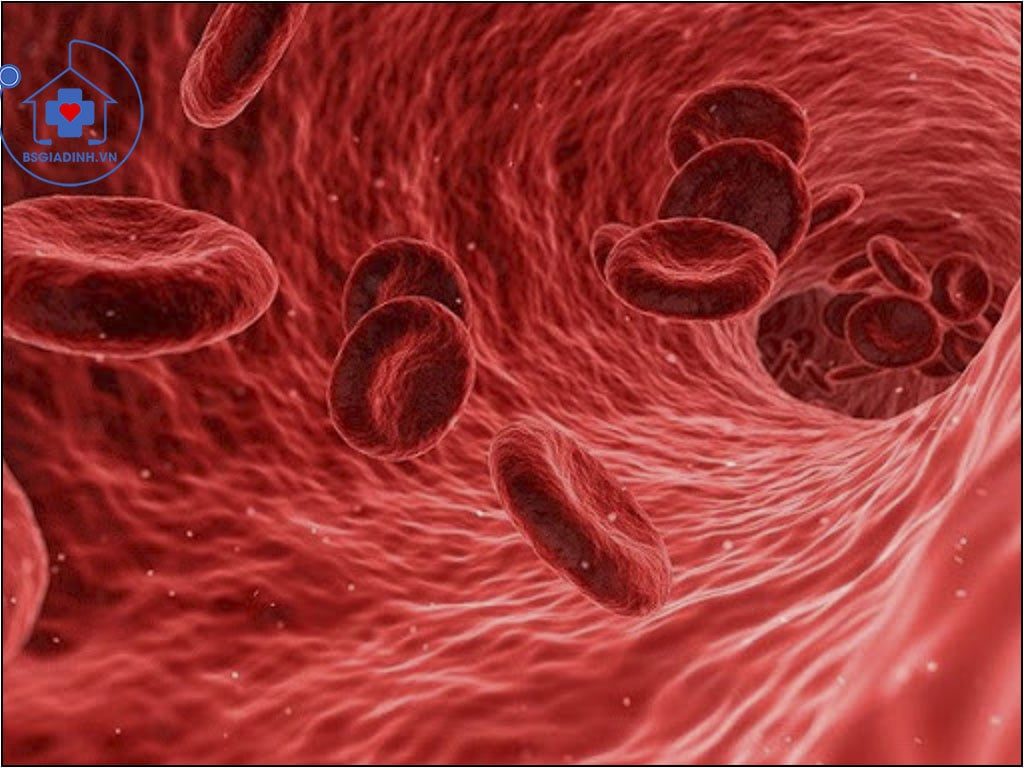 độ nhớt của máu 