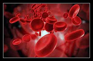 ĐỘ THẨM THẤU MÁU LÀ GÌ?