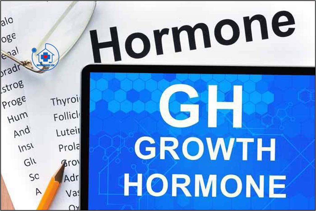 HORMON TĂNG TRƯỞNG (GH)
