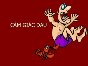 CẢM GIÁC THÂN THỂ