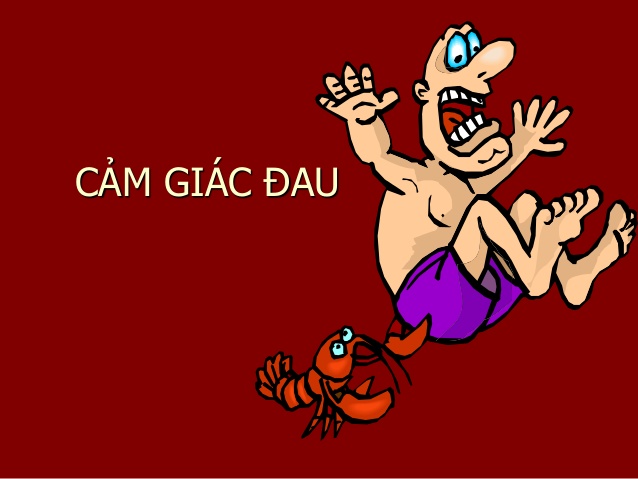 CẢM GIÁC THÂN THỂ