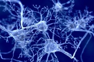 ĐẶC ĐIỂM SINH LÝ CỦA TẾ BÀO THẦN KINH