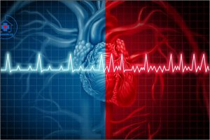 ĐIỀU HÒA HOẠT ĐỘNG TIM