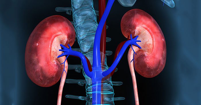 SỰ LỌC Ở TIỂU CẦU THẬN