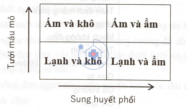 phân loại suy tim cấp theo lâm sàng